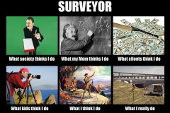 What are surveyors really?